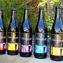Coromandel Brewing Company